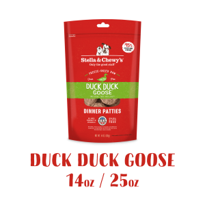 DP_Duck Duck Goose