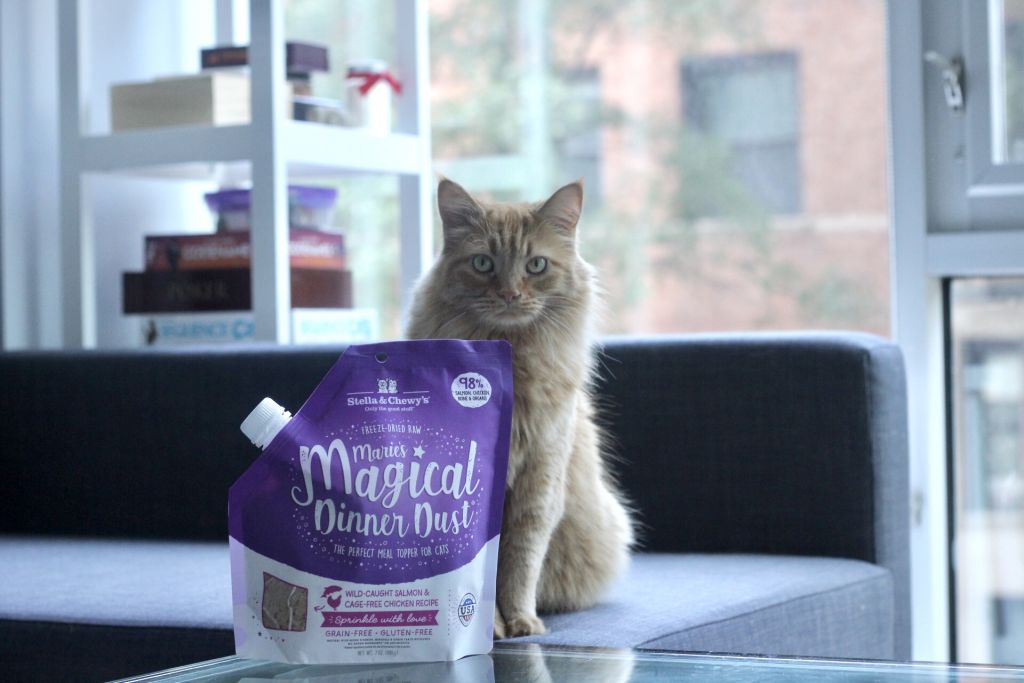 7oz_Lifestyle_CatWithPackaging_DinnerDust_SalmonChicken_MMDD-CAT-SCH-7