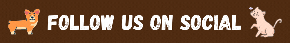 Follow Us On Social (1)