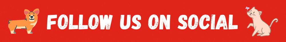 Follow Us On Social Follow Us On Social