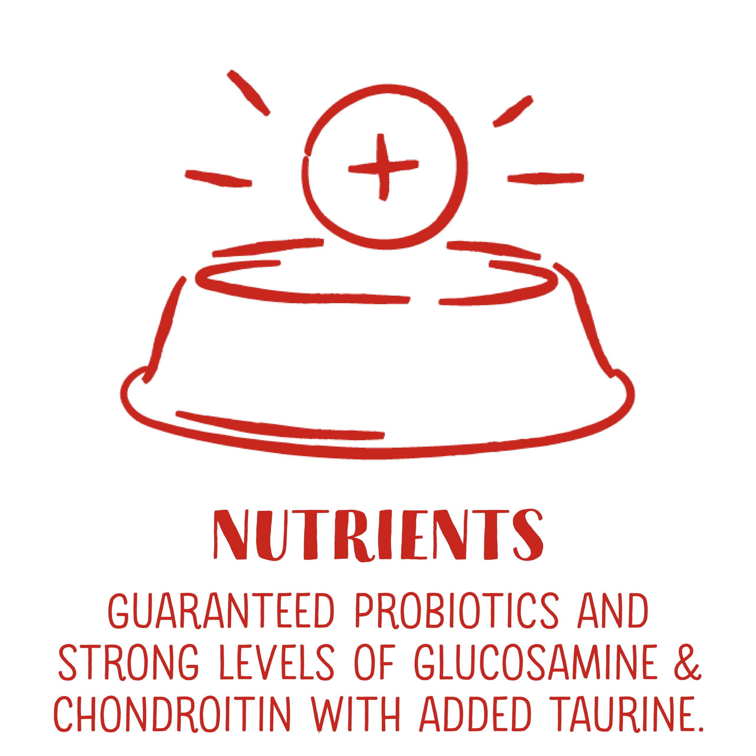 Key Ingredients Icons_RCK-Nutrients-min