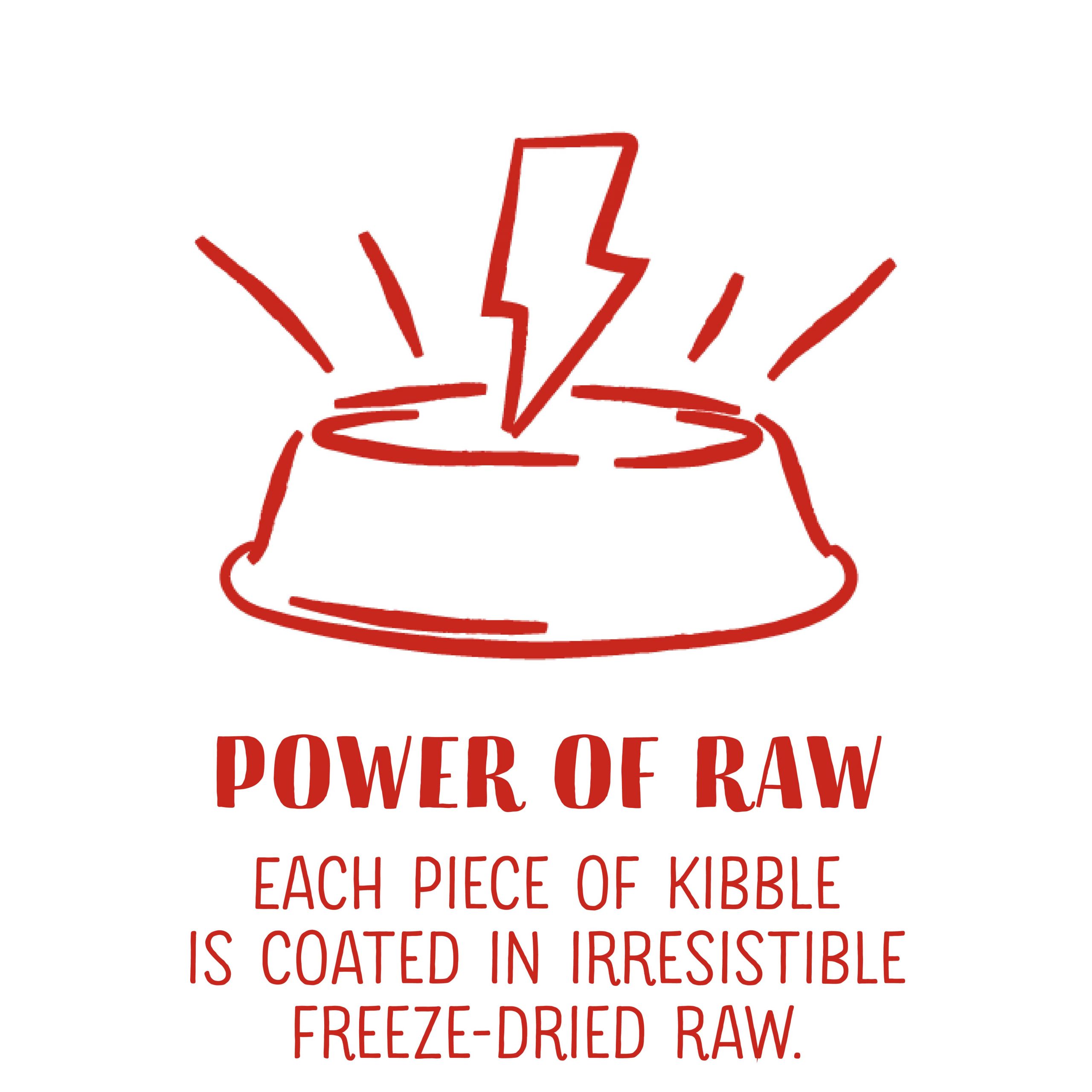 Key Ingredients Icons_RCK-Power of Raw-min