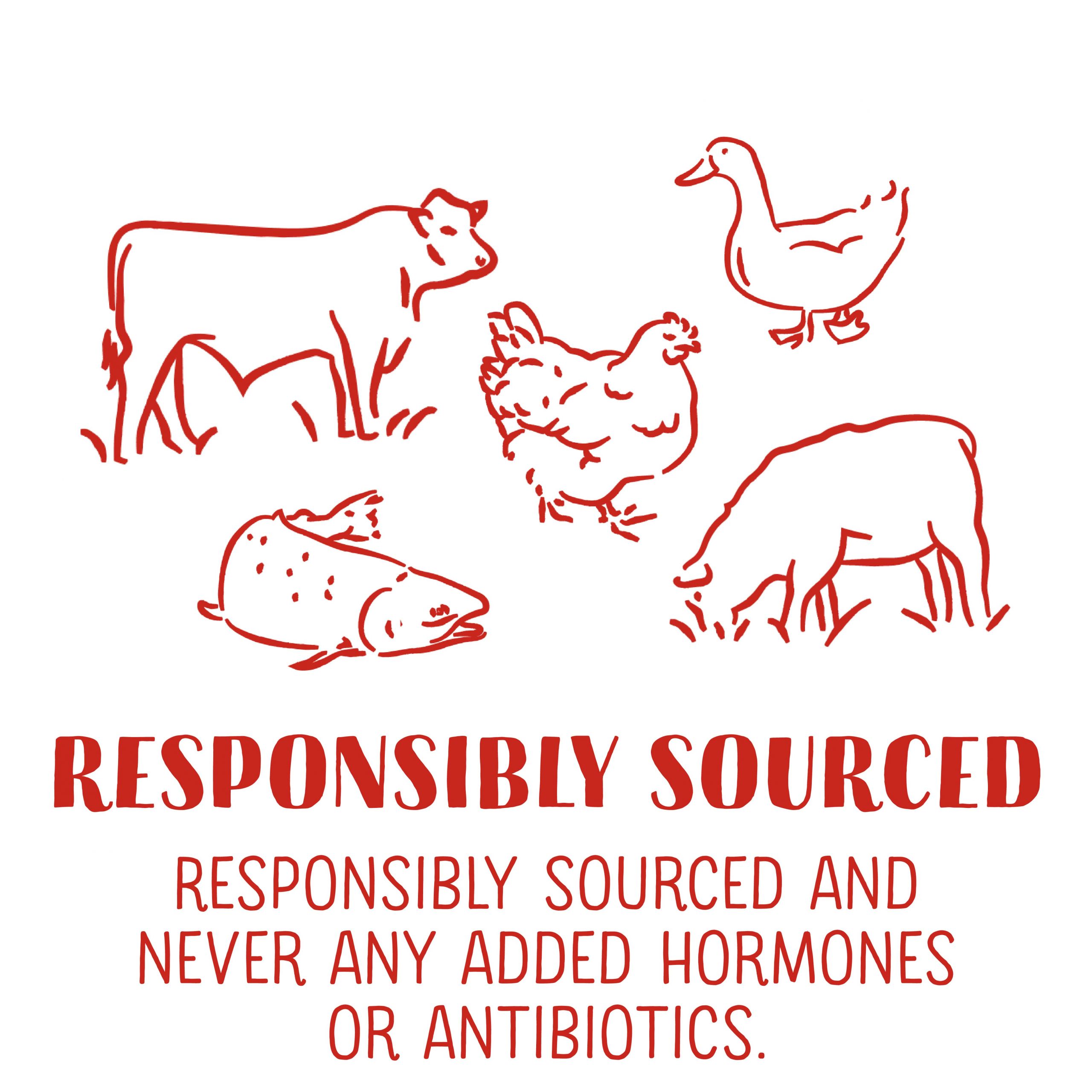 Key Ingredients Icons_RCK-Responsibly Souced-min