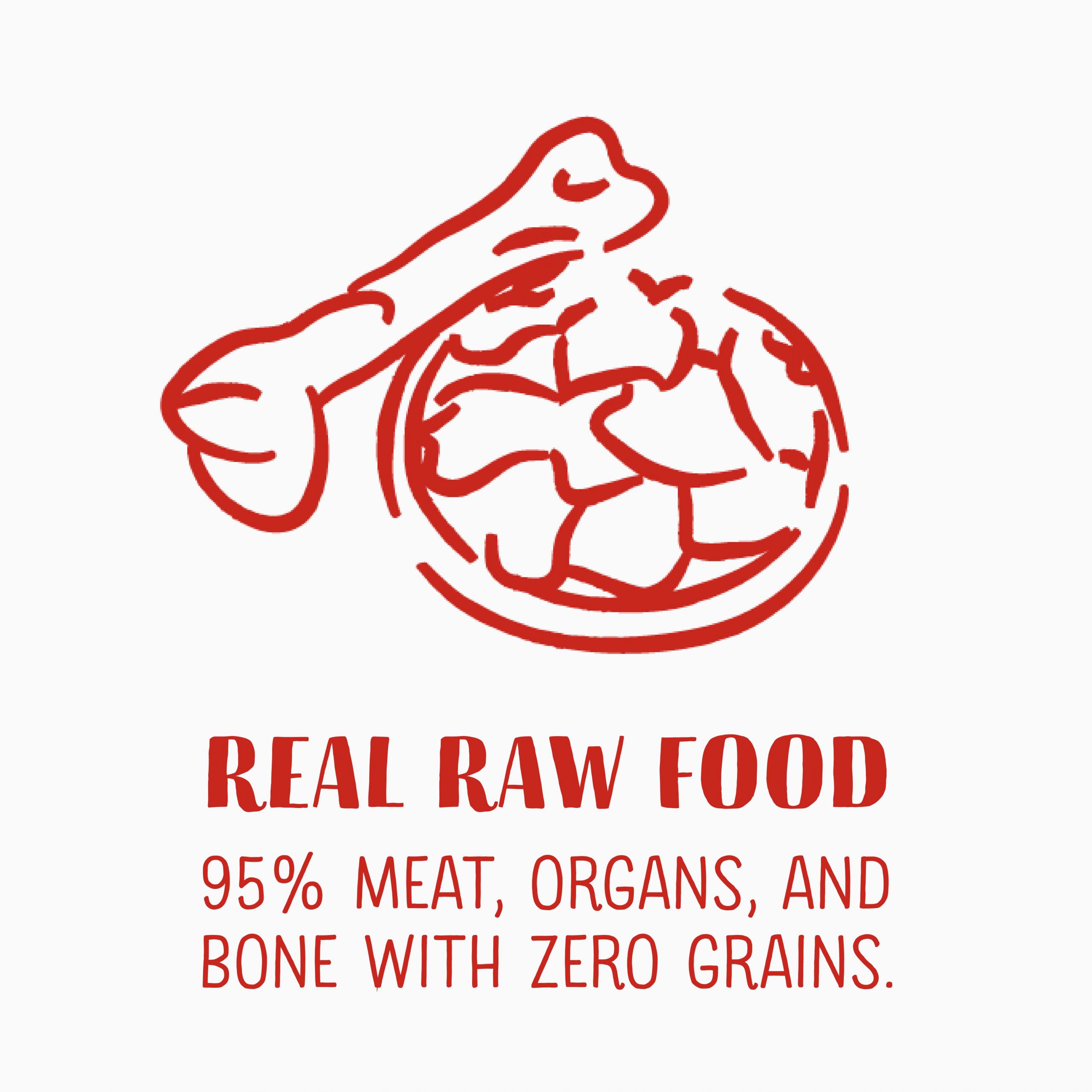 Real Raw Food