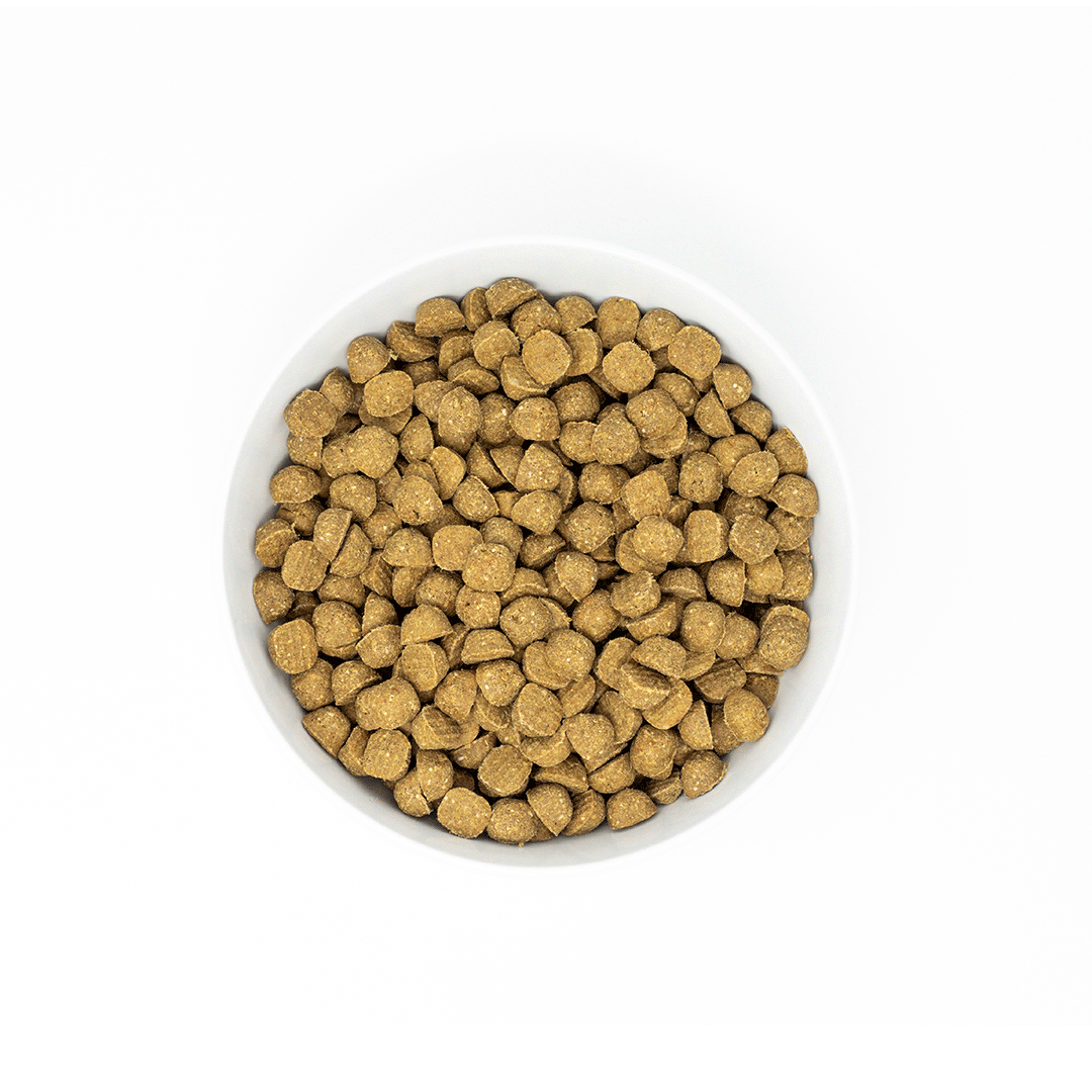 S&C-Dog-kibble-Gif