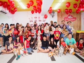 2018 Stella & Chewy’s Sausage Party