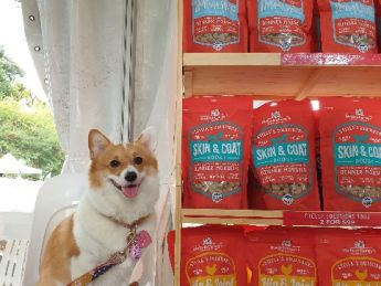 2019 Nparks Pets Day Out