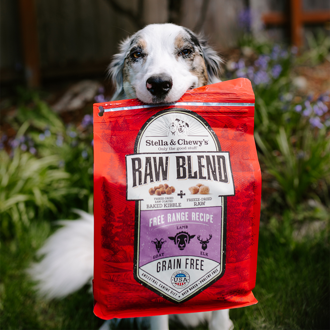 3.5lb_Lifestyle_DogWithPackaging_RBKibble_FreeRange_K-RBFR-3.5 (1)