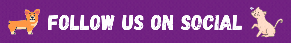 Follow Us On Social (3)